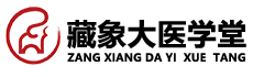 藏象教育